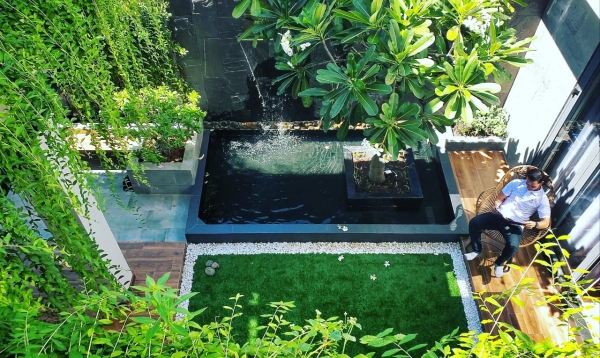 Kinh nghiệm phủ xanh ngôi nhà